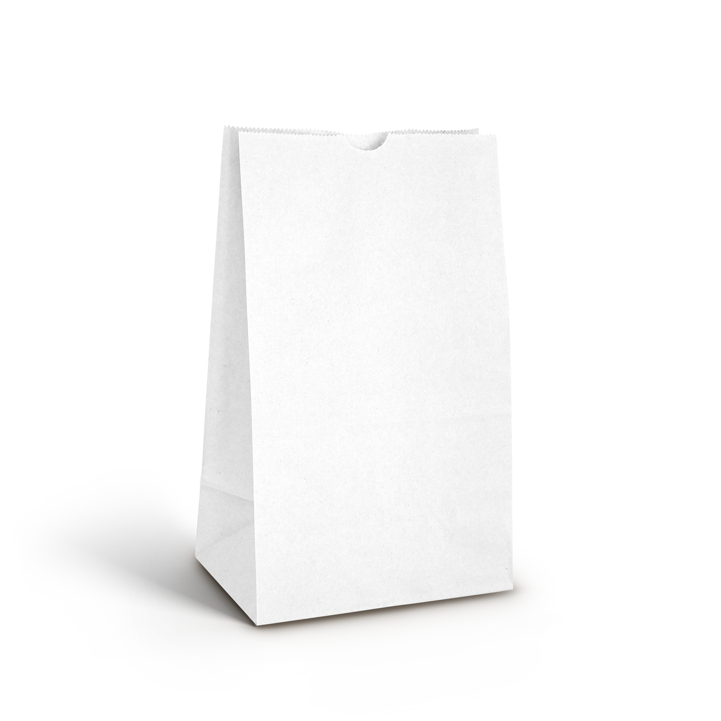 Lunch Bag