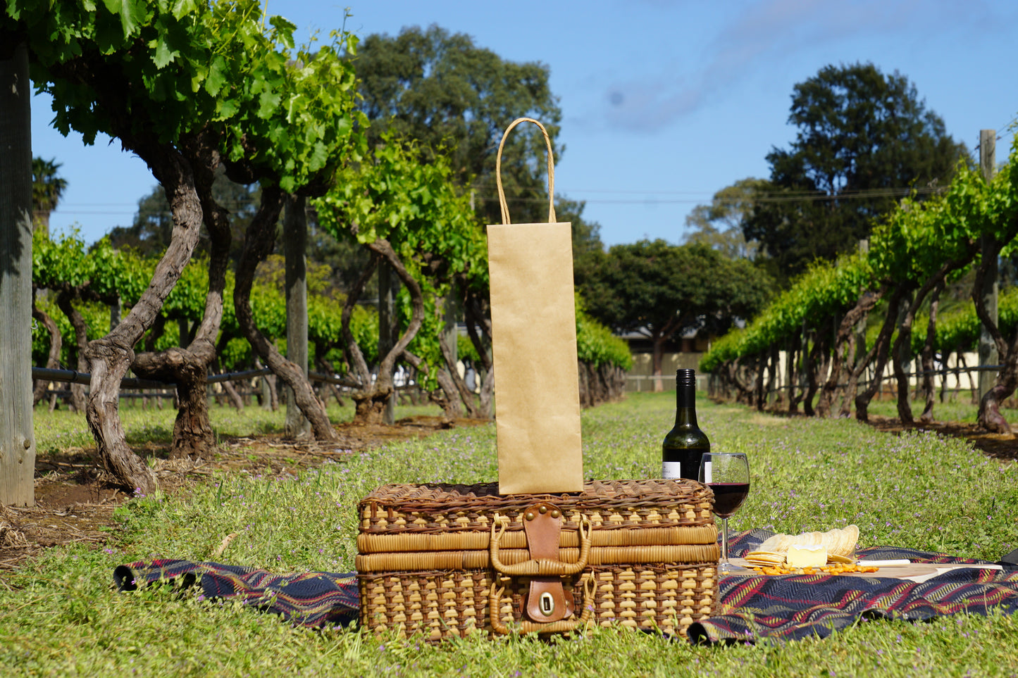 1 Bottle Bag Twist Handle