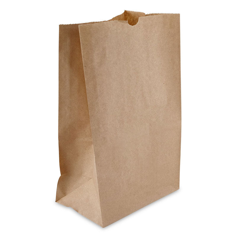 Lunch Bag (No Handle)