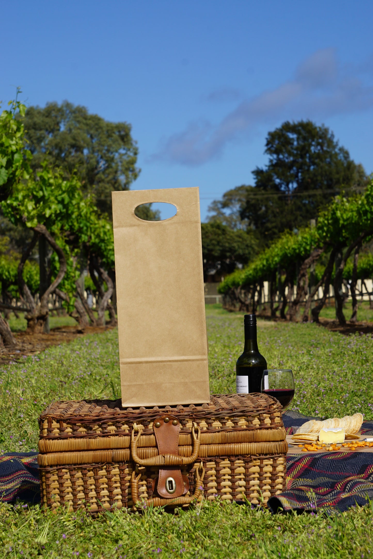 2 Bottle Bag Die-Cut Handle