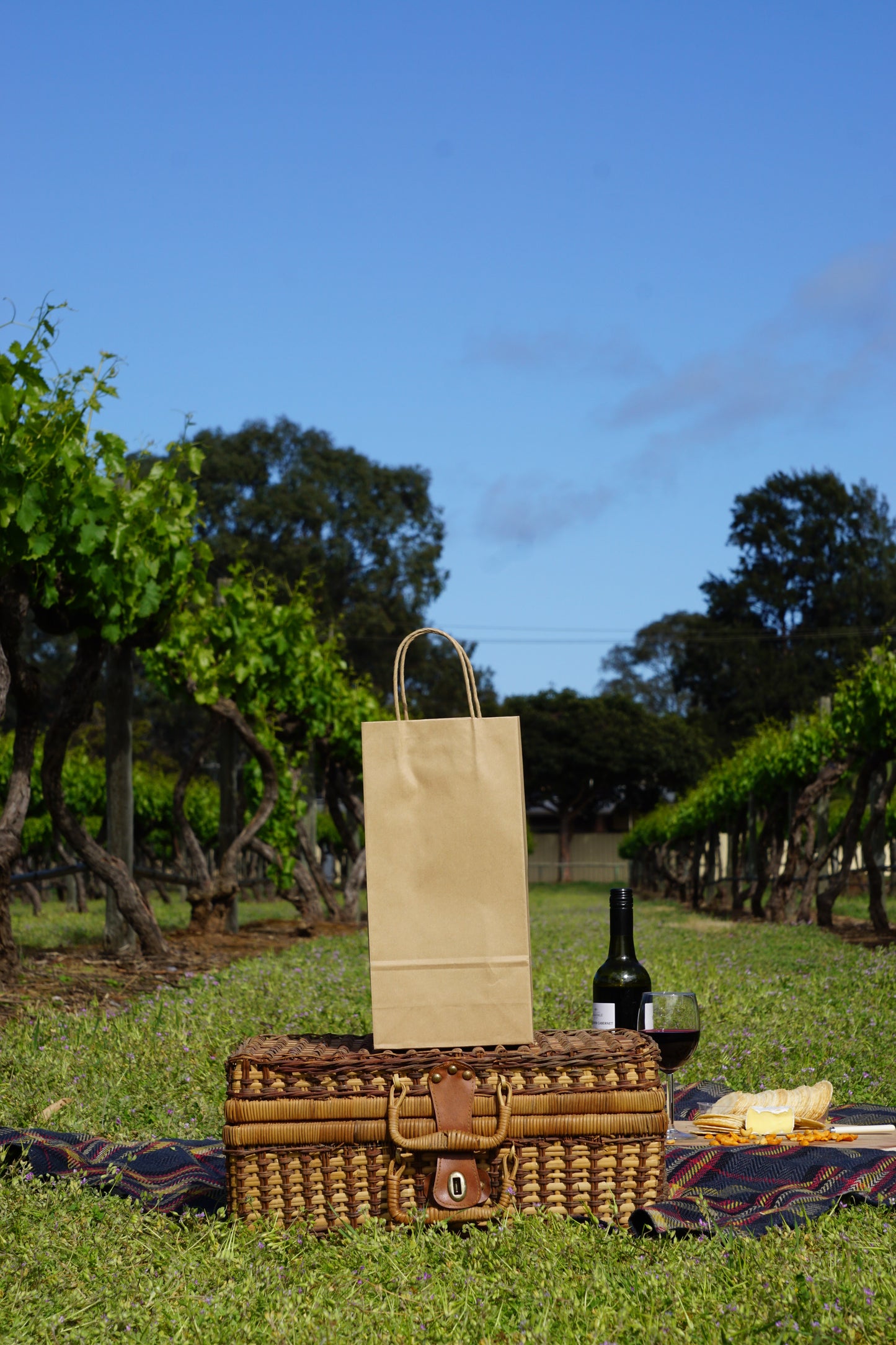 2 Bottle Bag Twist Handle