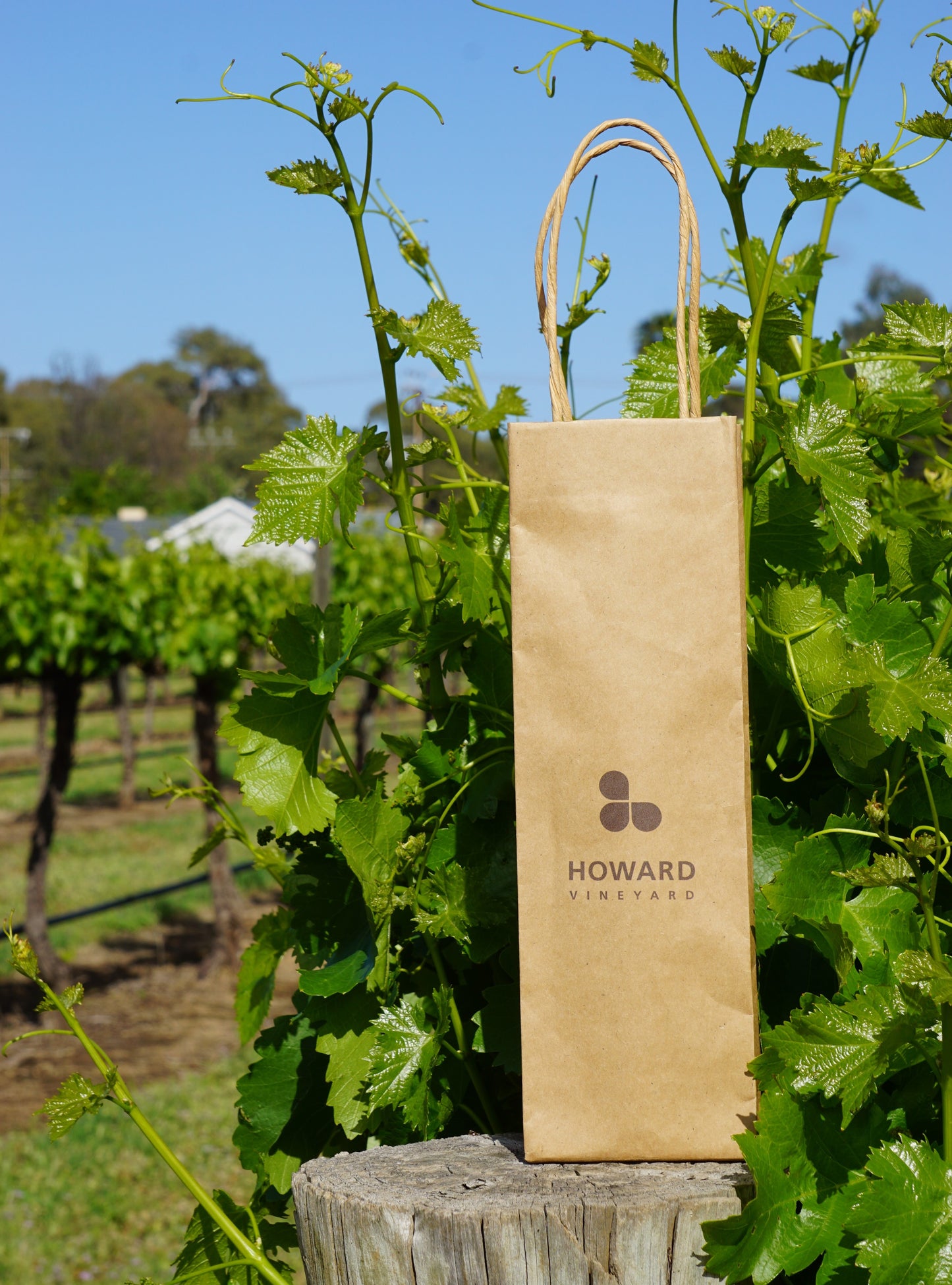 1 Bottle Bag Twist Handle
