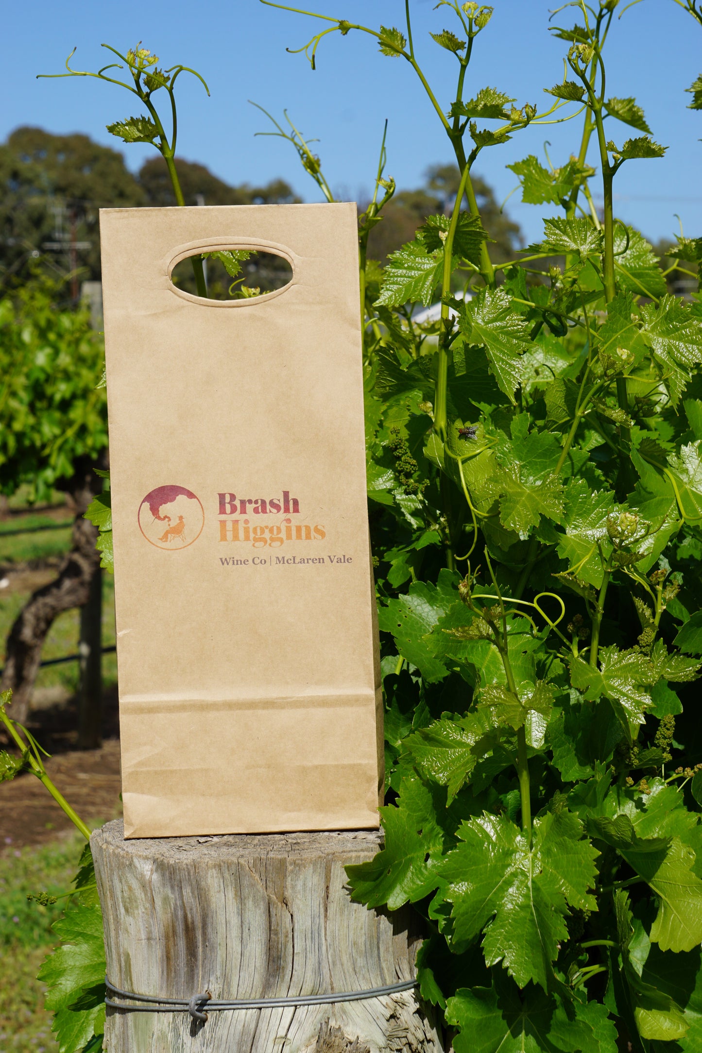 2 Bottle Bag Die-Cut Handle